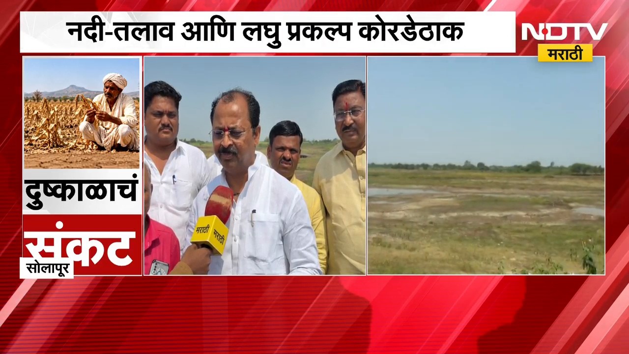 Solapur च्या बार्शीमध्ये दुष्काळाच्या झळा, नदी तलाव लघु प्रकल्प कोरडेठाक, राजेंद्र राऊतांकडून पाहणी