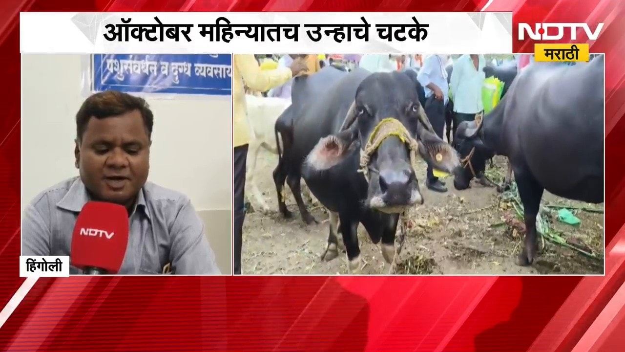 Hingoli Heat Wave | हिंगोलीत ऑक्टोबर महिन्यातच उन्हाचे, चारा आणि पाण्याचाही तुटवडा । NDTV