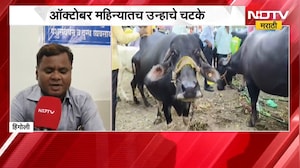 Hingoli Heat Wave | हिंगोलीत ऑक्टोबर महिन्यातच उन्हाचे, चारा आणि पाण्याचाही तुटवडा । NDTV