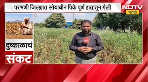 Drought Effect | दुष्काळामुळे बीडच्या बाजारपेठेत धान्याची आवक घटली , परभणीत सोयाबीन हातातून गेलं