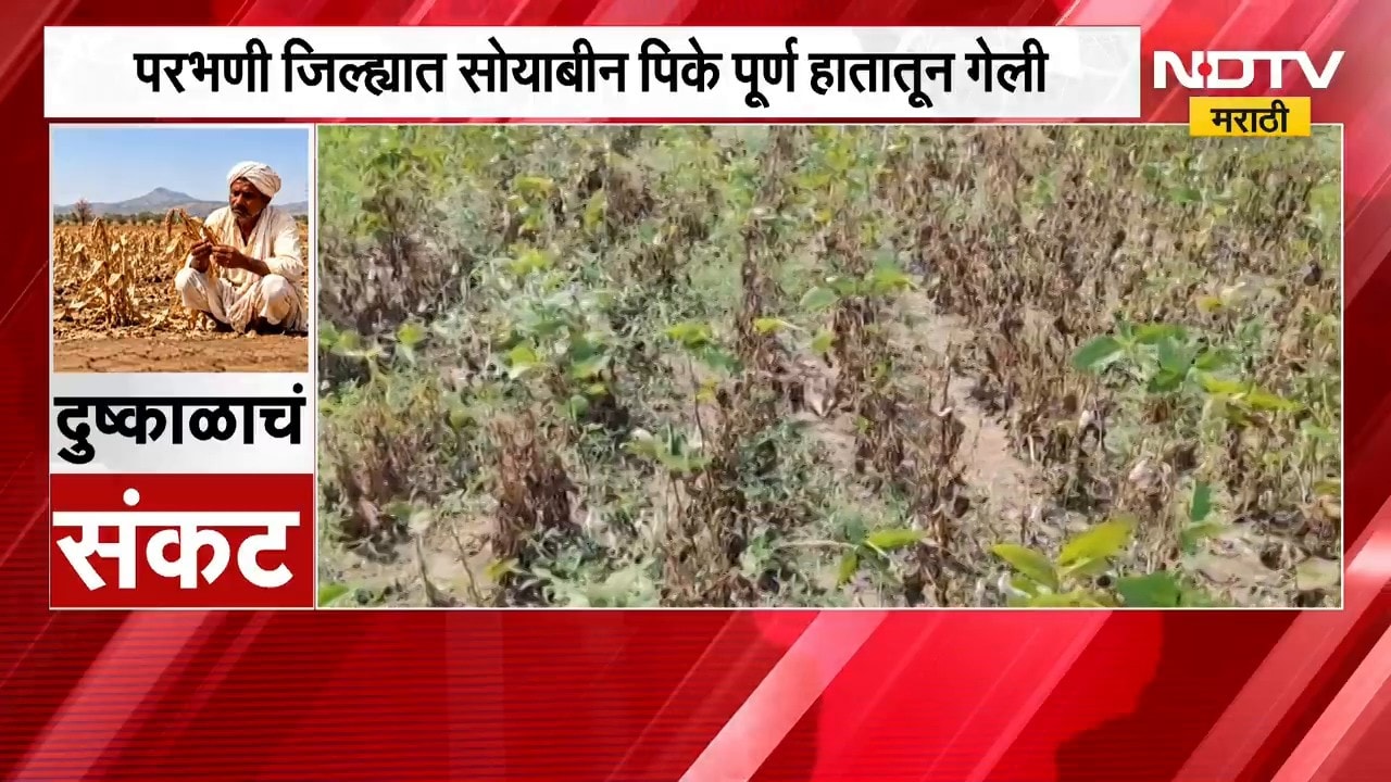 Parbhani|सोयाबीन पिके पूर्ण हातातून गेली; रब्बीच्या तयारीसाठी सरकारी मदतीकडे शेतकऱ्यांचा नजारा