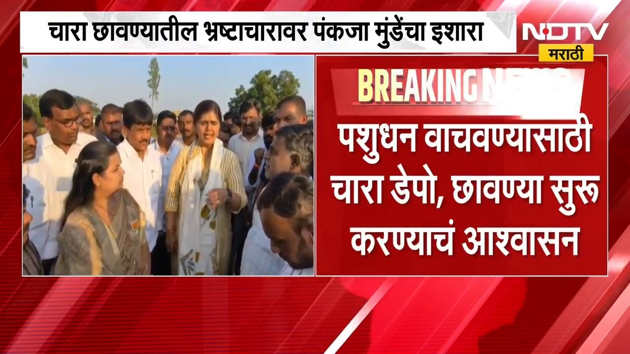"भ्रष्टाचारात माझा कार्यकर्ता असला तरी...", चारा छावण्यांतील भ्रष्टाचारावर Pankaja Munde यांचा इशारा