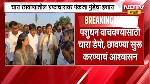 "भ्रष्टाचारात माझा कार्यकर्ता असला तरी...", चारा छावण्यांतील भ्रष्टाचारावर Pankaja Munde यांचा इशारा