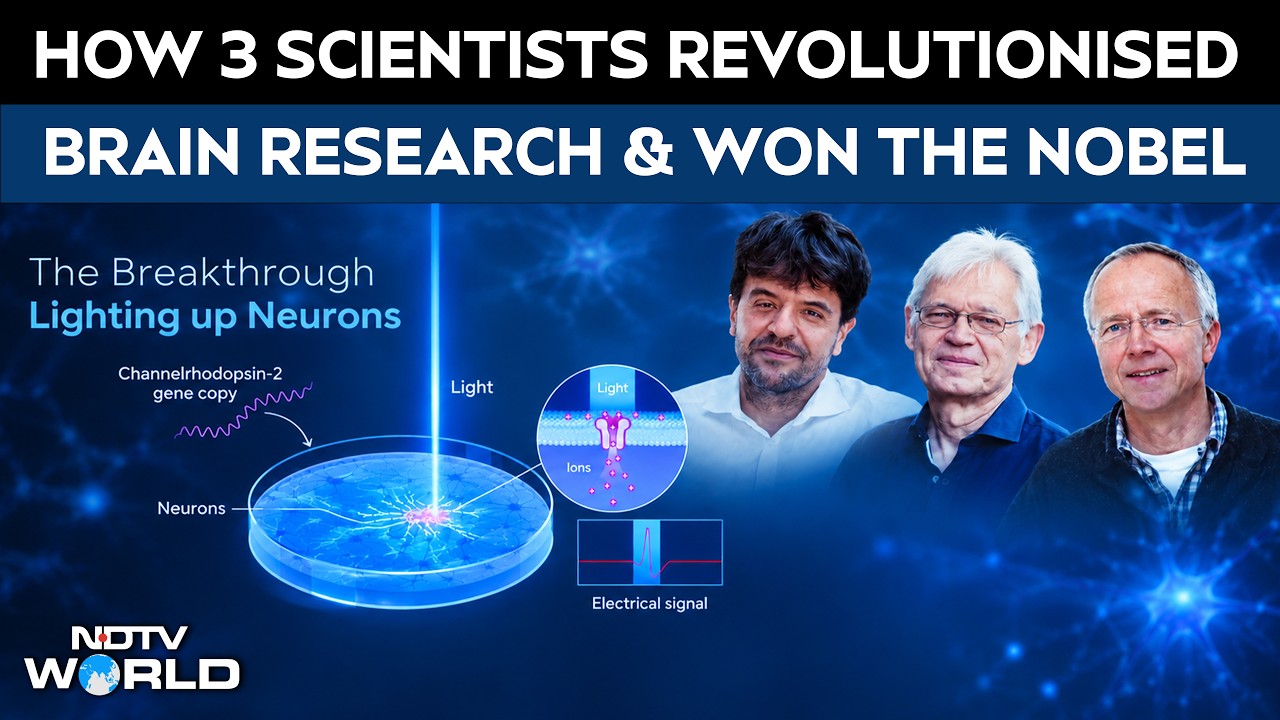 2026 Nobel Prize In Medicine: The Breakthrough That Lets Scientists Control Brain Cells With Light