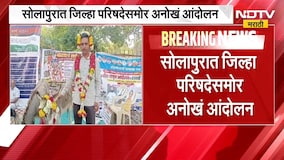 Solapur| जिल्हा परिषदेसमोर गाढविणीशी अनोखं लग्न, सोडून गेलेली पत्नी परत मिळावी यासाठी आंदोलन