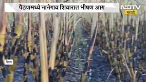 Paithan Sugarcane Fire | पैठणमध्ये नानेगाव शिवारात भीषण आग, ऊस जळून खाक | NDTV Marathi