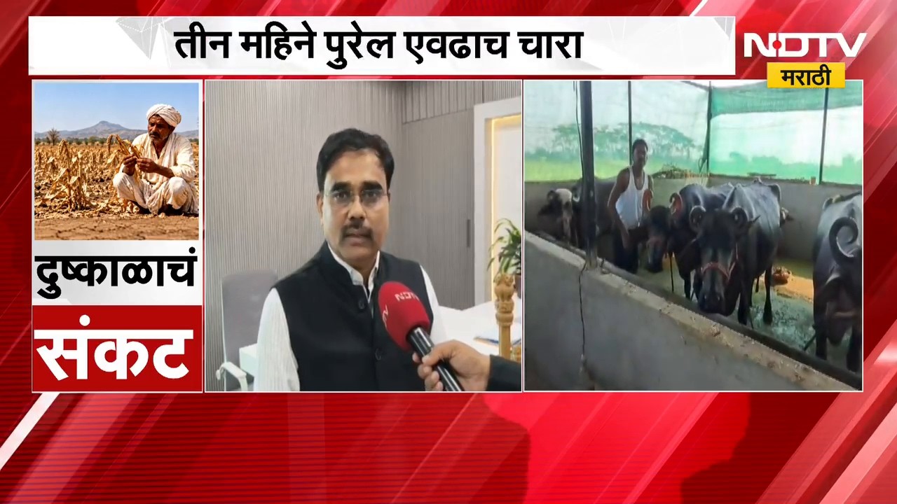 Latur Drought | लातूर जिल्ह्यात दुष्काळजन्य परिस्थिती, पाणीटंचाईवर प्रशासनाची तयारी | NDTV Marathi