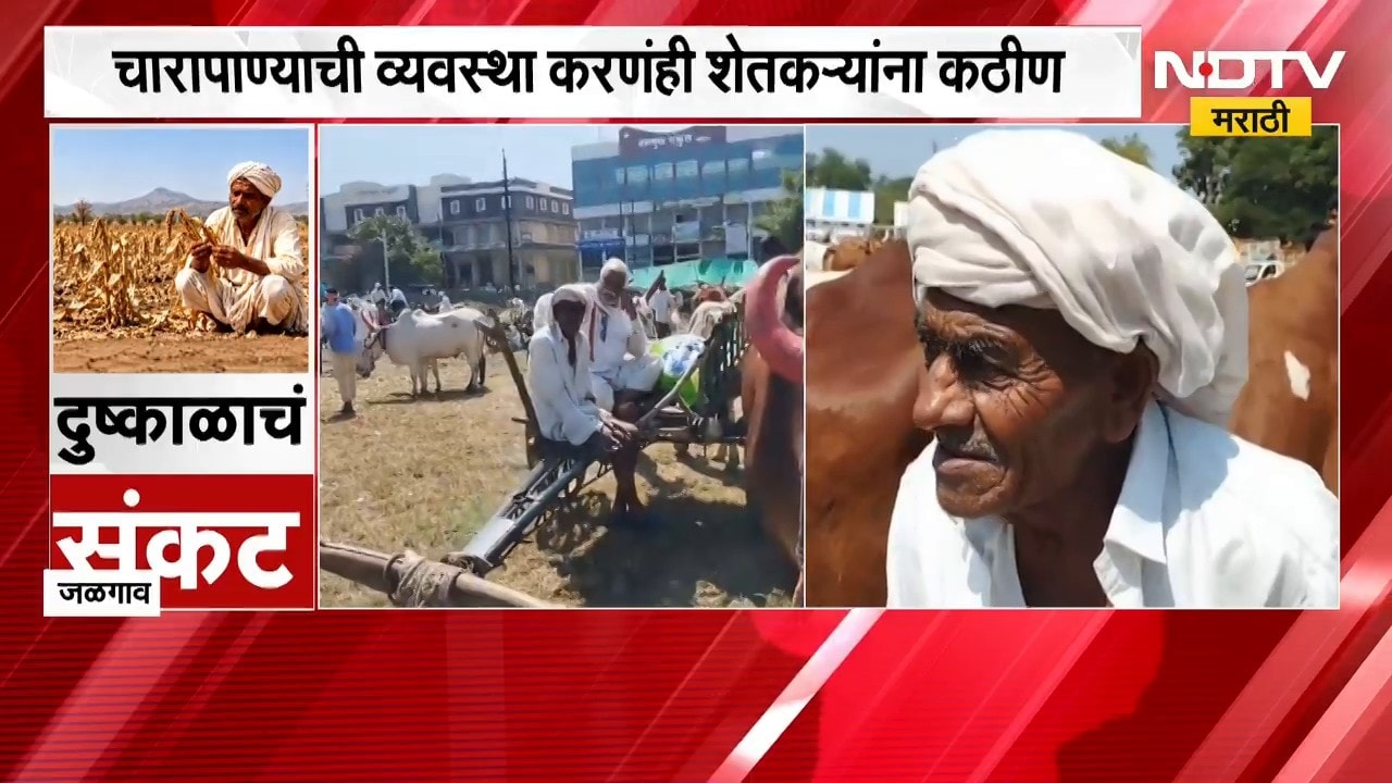 Jalgaon | दुष्काळाचं सावट गडद, कर्ज फेडण्यासाठी शेतकऱ्याने बैलजोडी काढली विक्रीला | NDTV Marathi