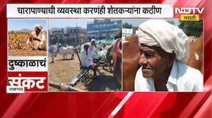 Jalgaon | दुष्काळाचं सावट गडद, कर्ज फेडण्यासाठी शेतकऱ्याने बैलजोडी काढली विक्रीला | NDTV Marathi