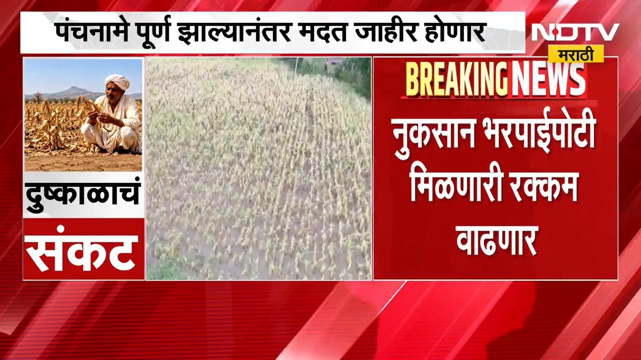 मोठी बातमी, 265 दुष्काळी तालुक्यांमधील 30 टक्के पंचनामे पूर्ण, मदत कधी जाहीर होणार? | Drought News
