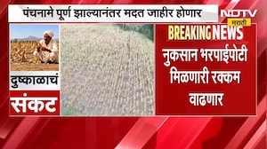 मोठी बातमी, 265 दुष्काळी तालुक्यांमधील 30 टक्के पंचनामे पूर्ण, मदत कधी जाहीर होणार? | Drought News
