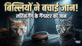 Ajmer jail: कोबरा सांप से बिल्लियों ने बचाई लॉरेंस गैंग का गुर्गे की जान!| Lawrence Bishnoi gang