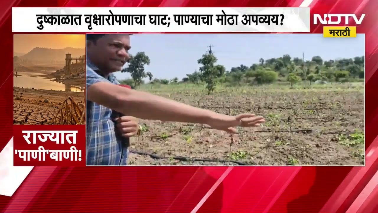 ऐन पाणीटंचाईत वृसाक्षरोपण, वर्ध्यातील आष्टी येथे सामाजिक वनीकरण विभागाचा धक्कादायक प्रकार समोर