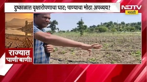 ऐन पाणीटंचाईत वृसाक्षरोपण, वर्ध्यातील आष्टी येथे सामाजिक वनीकरण विभागाचा धक्कादायक प्रकार समोर