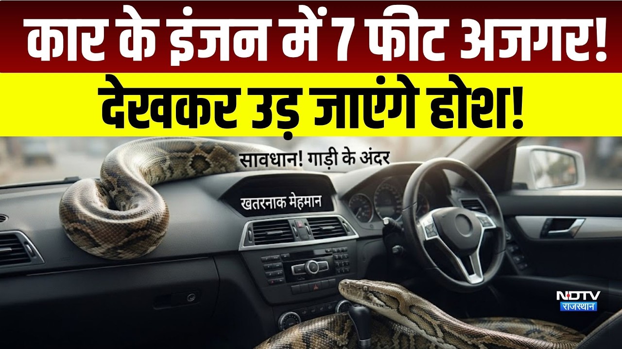 Kota snake rescue: Car के Engine में छिपा बैठा था 7 फीट लंबा phython!