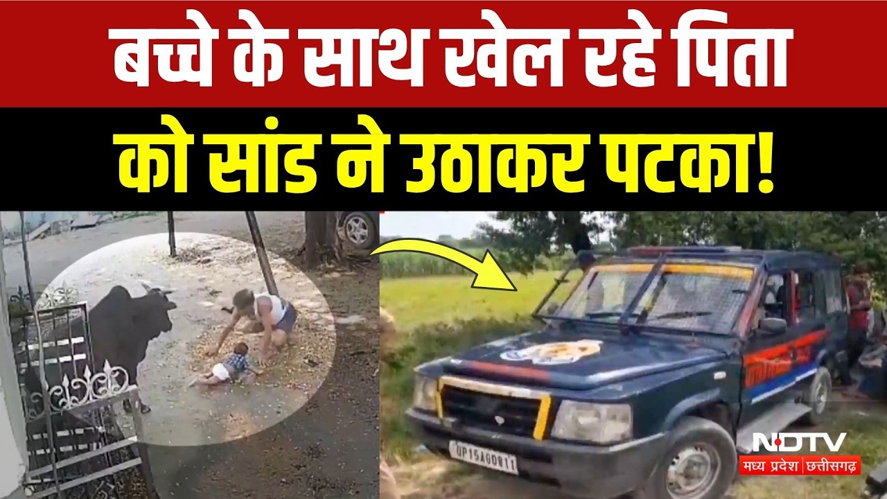 Raipur News: बच्चे को खिला रहे पिता को सांड ने उठाकर पटका, CCTV Video Viral! Breaking News