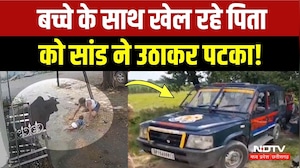 Raipur News: बच्चे को खिला रहे पिता को सांड ने उठाकर पटका, CCTV Video Viral! Breaking News