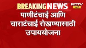 दुष्काळाच्या पार्श्वभूमीवर Akola मध्ये पाणी आणि चाराटंचाई रोखण्यासाठी उपाययोजना | Akola Drought