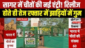 Sagar News : CM Mohan Yadav ने 2 चीतों को Rani Durgavati Reserve में छोड़ा, 60 हुआ कुनबा । Breaking