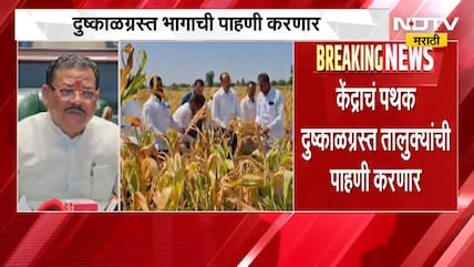 केंद्र सरकारचं पथक महाराष्ट्र दौऱ्यावर, 11 ऑक्टोबरपर्यंत दुष्काळग्रस्त भागाची पाहणी करणार | Drought
