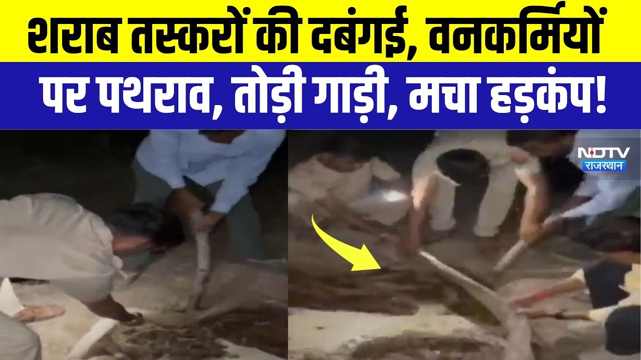Liquor Mafia Attack: वनकर्मियों पर पथराव, तोड़ी गाड़ी, मचा हड़कंप! | Hanumangarh | Top News