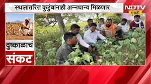 relief drought-affected areas दुष्काळग्रस्तांसाठी सरकारच्या उपाययोजना सुरु अन्न धान्याचा पुरवठा सुरु