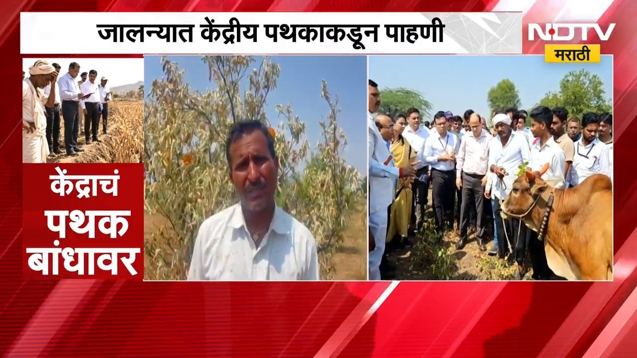 Maharashtra Drought  | केंद्राचं पथक शेतीच्या बांधावर, जालन्यात पथकाकडून पाहणी | NDTV Marathi