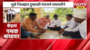 पंचनाम्याचं काम फक्त्त 35 टक्के पूर्ण; दसरा-दिवाळी तोंडावर, शेतकरी मदतीच्या प्रतीक्षेत |NDTV Marathi