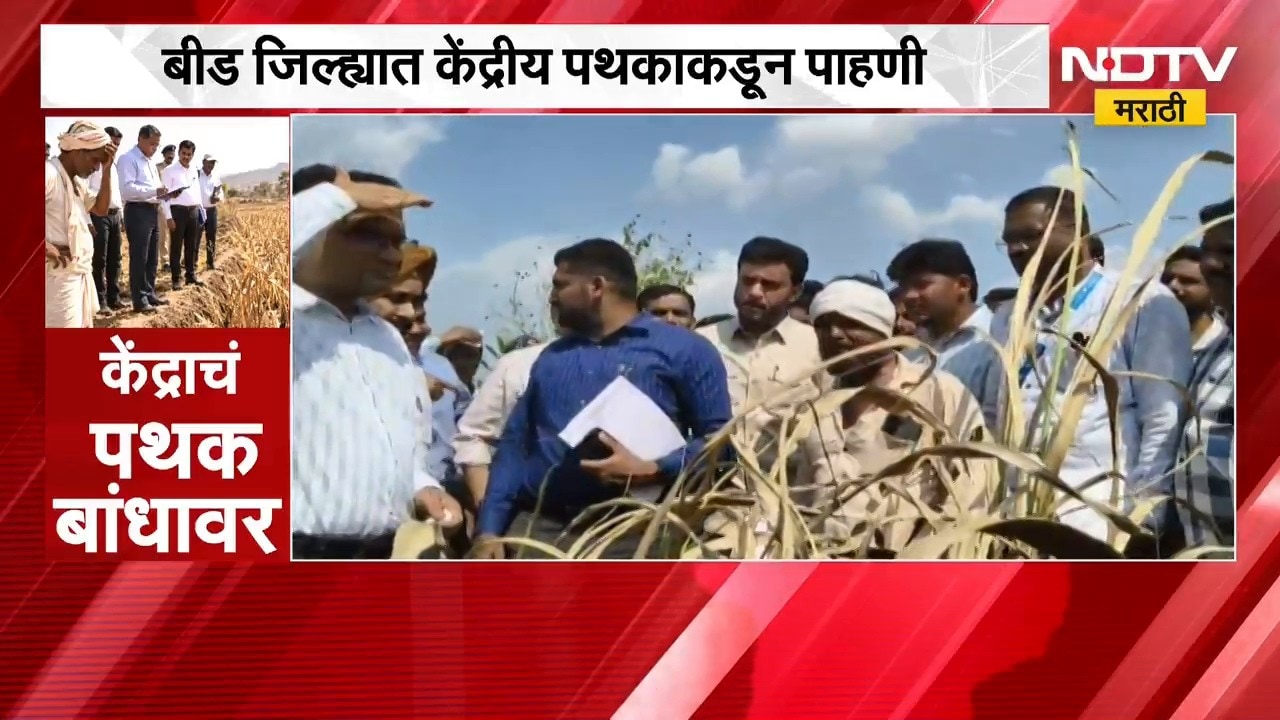 Beed जिल्ह्यात केंद्रीय पथकाकडून पाहणी; उसाचं काय करणार?, शेतकरी म्हणाला जाळून टाकणार | NDTV Marathi
