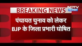 Panchayat Chunav के लिए बीजेपी का बड़ा एक्शन, 7 जिलों में प्रभारियों का ऐलान | Breaking News