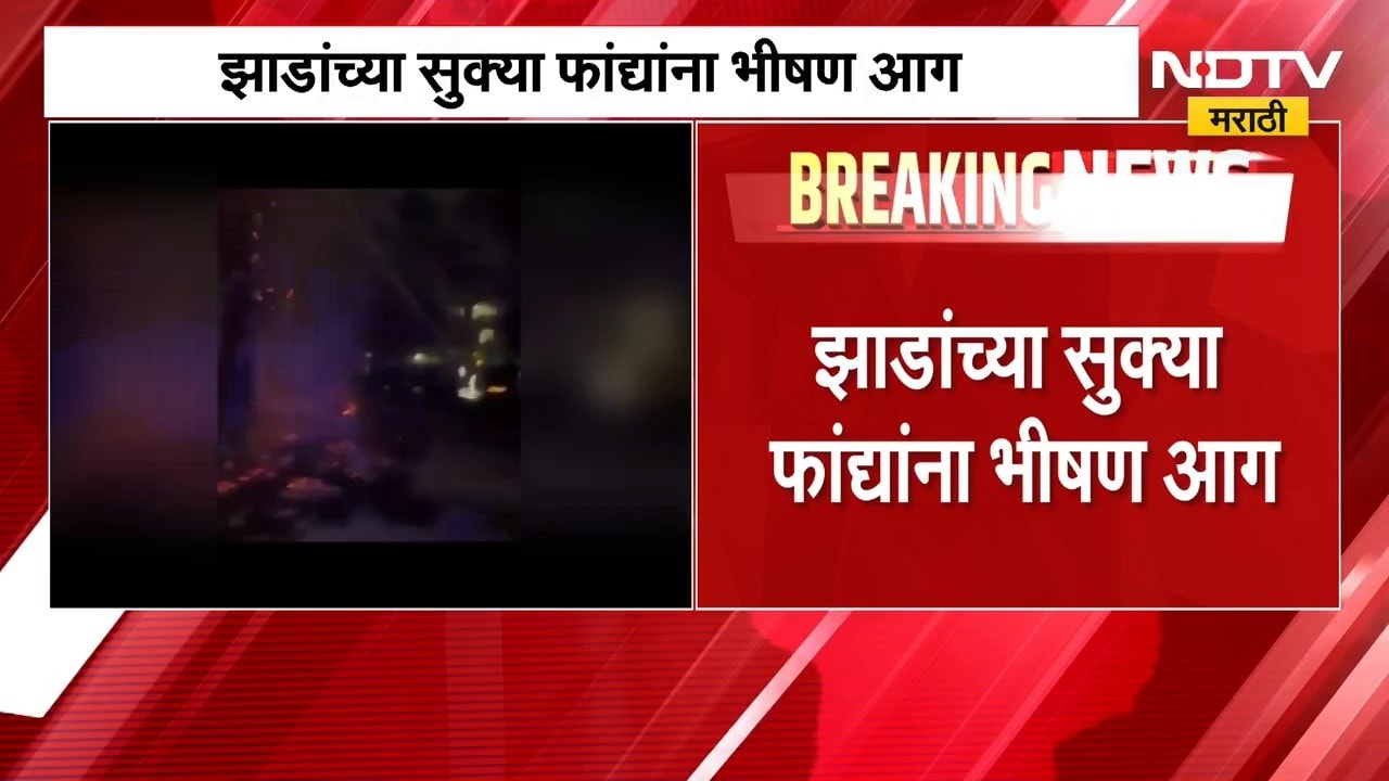 ऐरोलीतील Navi Mumbai महापालिकेच्या भोंगळ कारभाराचा भडका, झाडांच्या सुक्या फांद्यांना भीषण आग | NDTV