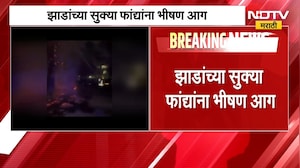 ऐरोलीतील Navi Mumbai महापालिकेच्या भोंगळ कारभाराचा भडका, झाडांच्या सुक्या फांद्यांना भीषण आग | NDTV