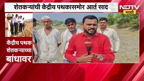 Beed Drought | बीडमध्ये केंद्रीय पथकाकडून पाहणी, शेतकऱ्यांची अधिकाऱ्यांसमोर आर्त साद | NDTV