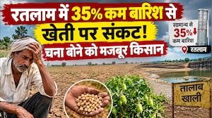 Weather Update: Ratlam में 35% कम बारिश से खेती पर संकट! गेहूं छोड़ चना बोने को मजबूर किसान |MP News