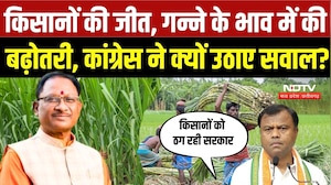 Chhattisgarh Farmers Protest: किसानों के आंदोलन का असर! गन्ने का भाव ₹355 से बढ़कर ₹425, हड़ताल खत्म