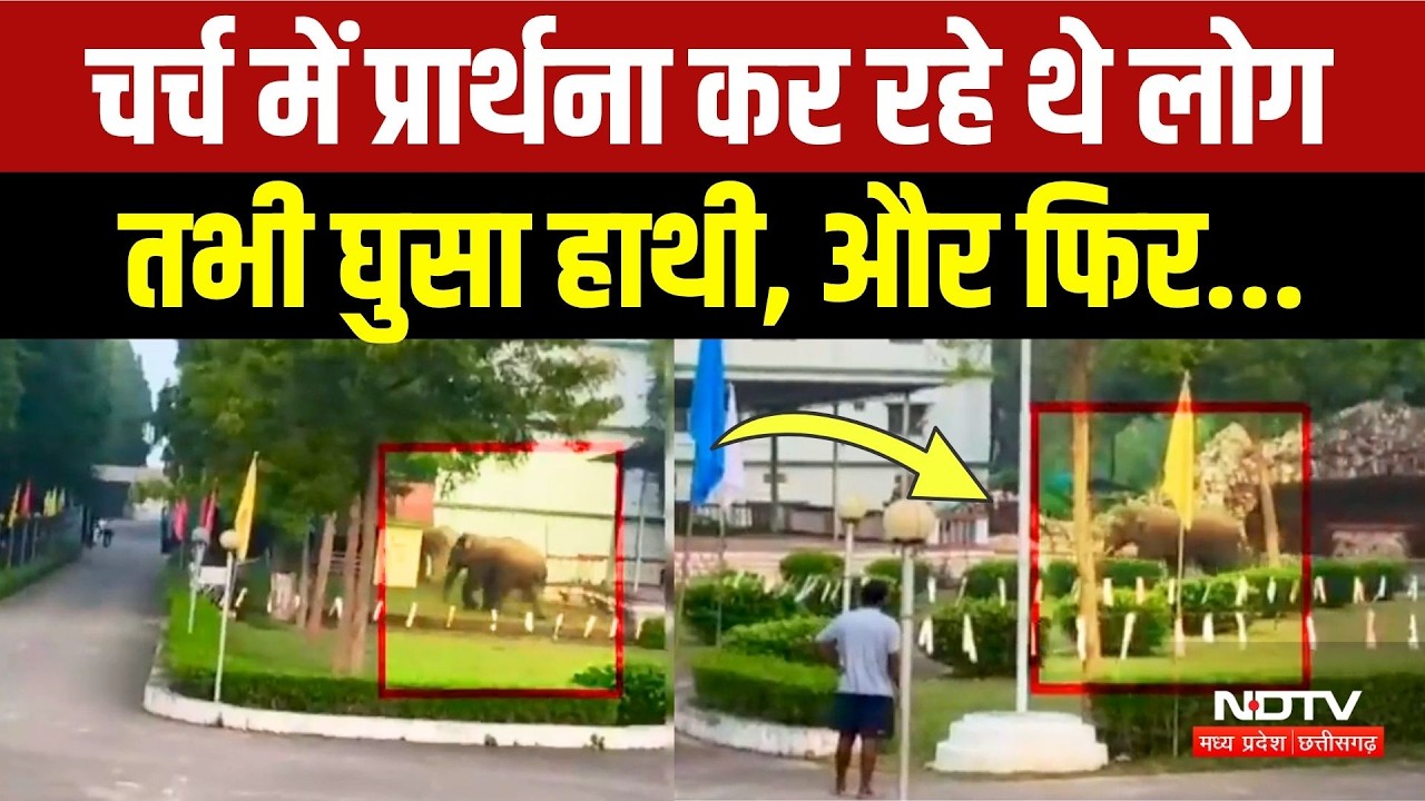 Elephant Attack in Jashpur: चर्च में घुसा जंगली हाथी, मची अफरा-तफरी, खौफ में लोग! Viral Video