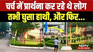 Elephant Attack in Jashpur: चर्च में घुसा जंगली हाथी, मची अफरा-तफरी, खौफ में लोग! Viral Video