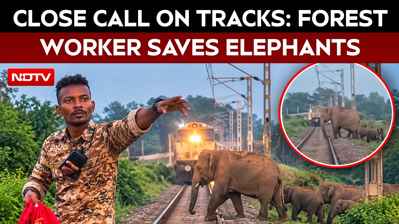 Elephants Saved From Approaching Train In Bengal After Forest Worker's Timely Warning