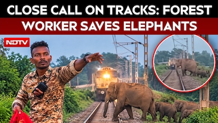 Elephants Saved From Approaching Train In Bengal After Forest Worker's Timely Warning