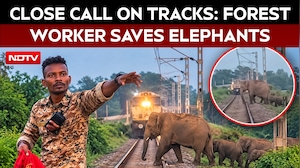 Elephants Saved From Approaching Train In Bengal After Forest Worker's Timely Warning