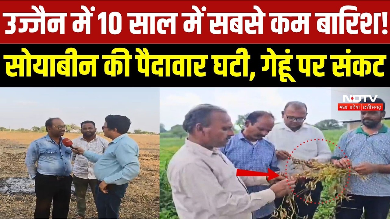 Ujjain Farmers Crisis: 10 साल में सबसे कम बारिश! सोयाबीन की पैदावार घटी, गेहूं पर संकट |Weather | MP