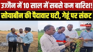 Ujjain Farmers Crisis: 10 साल में सबसे कम बारिश! सोयाबीन की पैदावार घटी, गेहूं पर संकट |Weather | MP