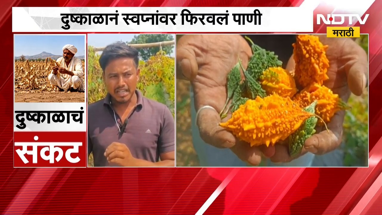 Maharashtra Drought | लाखोंचं पॅकेज सोडलं, शेतीत उतरला; पण दुष्काळाने स्वप्नांवर फिरवलं पाणी