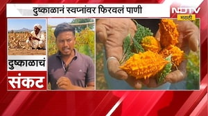 Maharashtra Drought | लाखोंचं पॅकेज सोडलं, शेतीत उतरला; पण दुष्काळाने स्वप्नांवर फिरवलं पाणी