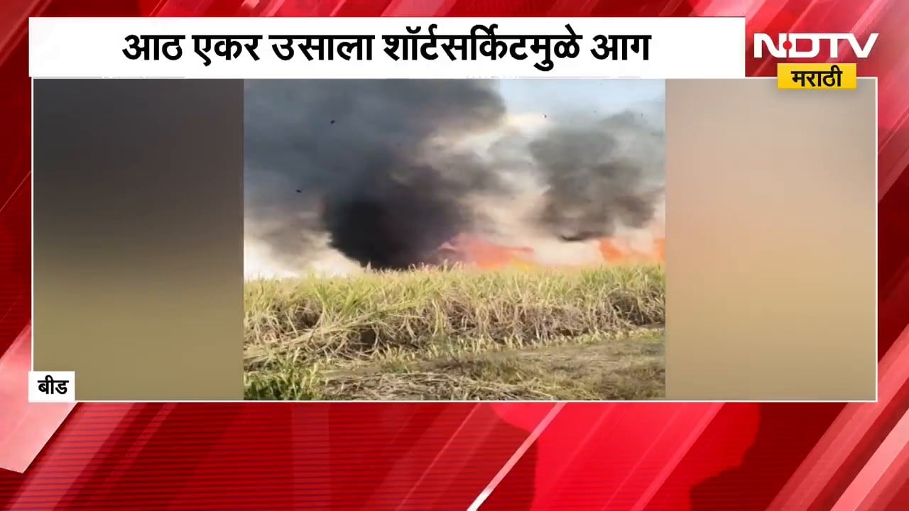 Beed Sugarcane Fire | शॉकसर्किटमुळे आठ एकरावरील ऊसाचा कोळसा, शेतकऱ्यांचं लाखोंचं नुकसान | NDTV