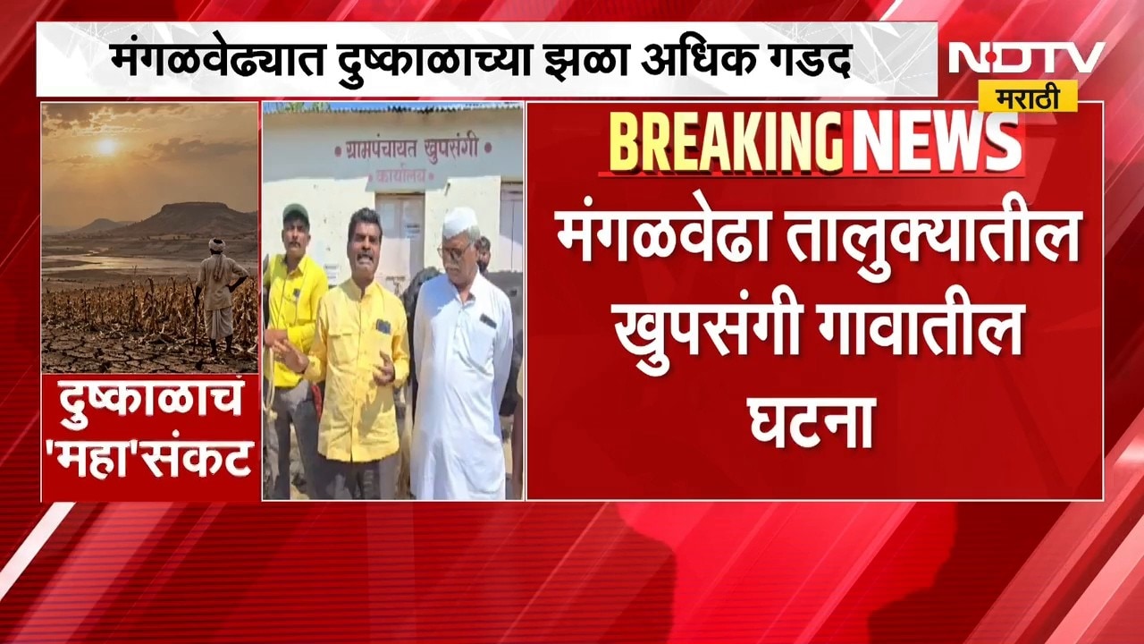 Solapur Drought | मंगळवेढ्यात दुष्काळाच्या झळा अधिक गडद, जनावरं बांधली थेट ग्रामपंचायत समोर
