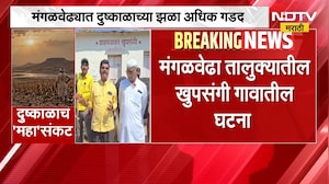 Solapur Drought | मंगळवेढ्यात दुष्काळाच्या झळा अधिक गडद, जनावरं बांधली थेट ग्रामपंचायत समोर