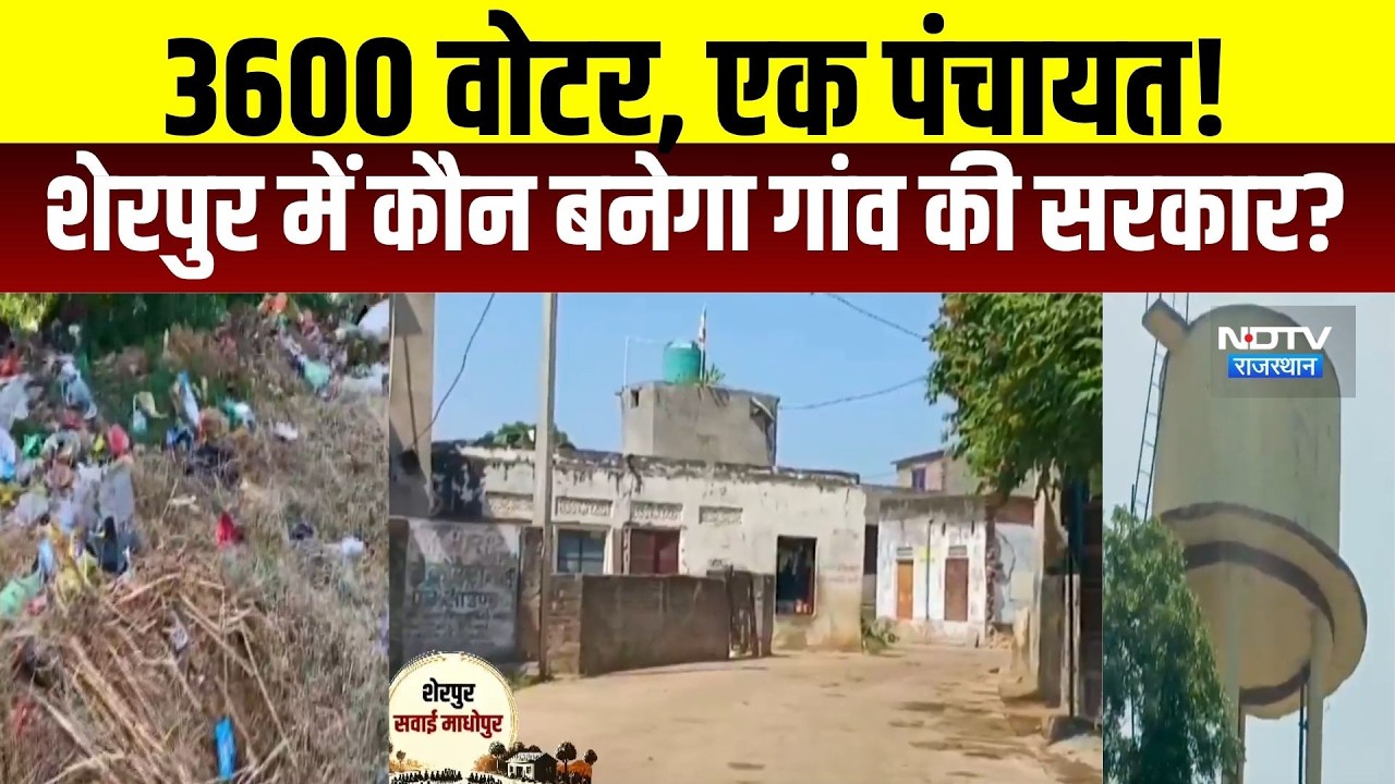 SawaiMadohpur Panchayat : 3600 वोटर, एक पंचायत! Sherpur में कौन बनेगा गांव की सरकार?|Politics