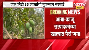 Konkan News | कोकणातील आंबा, काजू बागायतदारांसाठी आनंदाची बातमी, नुकसान भरपाई खात्यात जमा