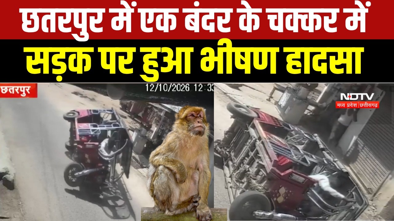 Chhatarpur : बंदर को बचाने में बेकाबू होकर पलटा ई-रिक्शा, CCTV में कैद हादसा । Breaking News